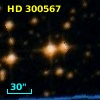 HD 300567