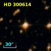 HD 300614