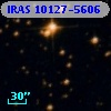 IRAS 10127-5606