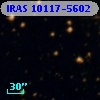 IRAS 10117-5602