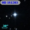 HD 181203