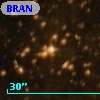 BRAN 304