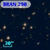 BRAN 290