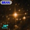 BRAN 299