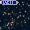 BRAN 305