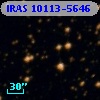 IRAS 10113-5646