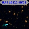 IRAS 10122-5623