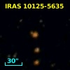 IRAS 10125-5635