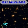 IRAS 10143-5636