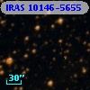 IRAS 10146-5655