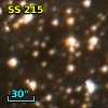 SS 215