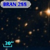 BRAN 288