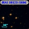 IRAS 10123-5606