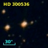 HD 300536