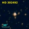 HD 302492