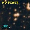 HD 302614