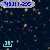 [M81] I-295