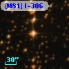 [M81] I-306