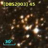 [DBS2003]  45