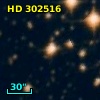 HD 302516