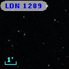 LDN 1289