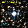 HD 304958