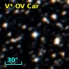 V* OV Car