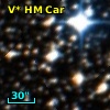 V* HM Car