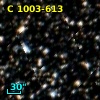 C 1003-613