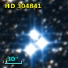 HD 304841