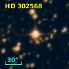 HD 302568