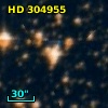 HD 304955