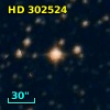 HD 302524