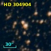 HD 304904