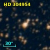 HD 304954