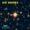 HD 304981