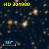 HD 304988