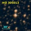 HD 305013