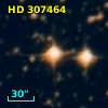 HD 307464