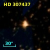 HD 307437