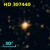 HD 307440
