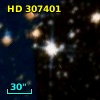 HD 307401