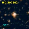 HD 307502