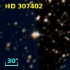 HD 307402