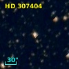 HD 307404