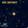HD 307407