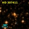 HD 307411