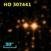 HD 307441