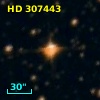 HD 307443