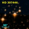 HD 307446